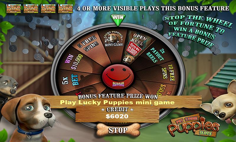 Pet Store Puppies Slots Screenshot 2