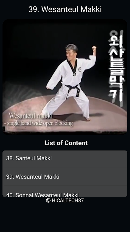 Taekwondo Basic Motions スクリーンショット 4