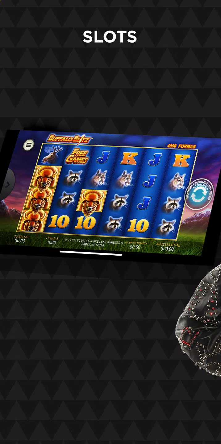 Winner Casino應用截圖第3張