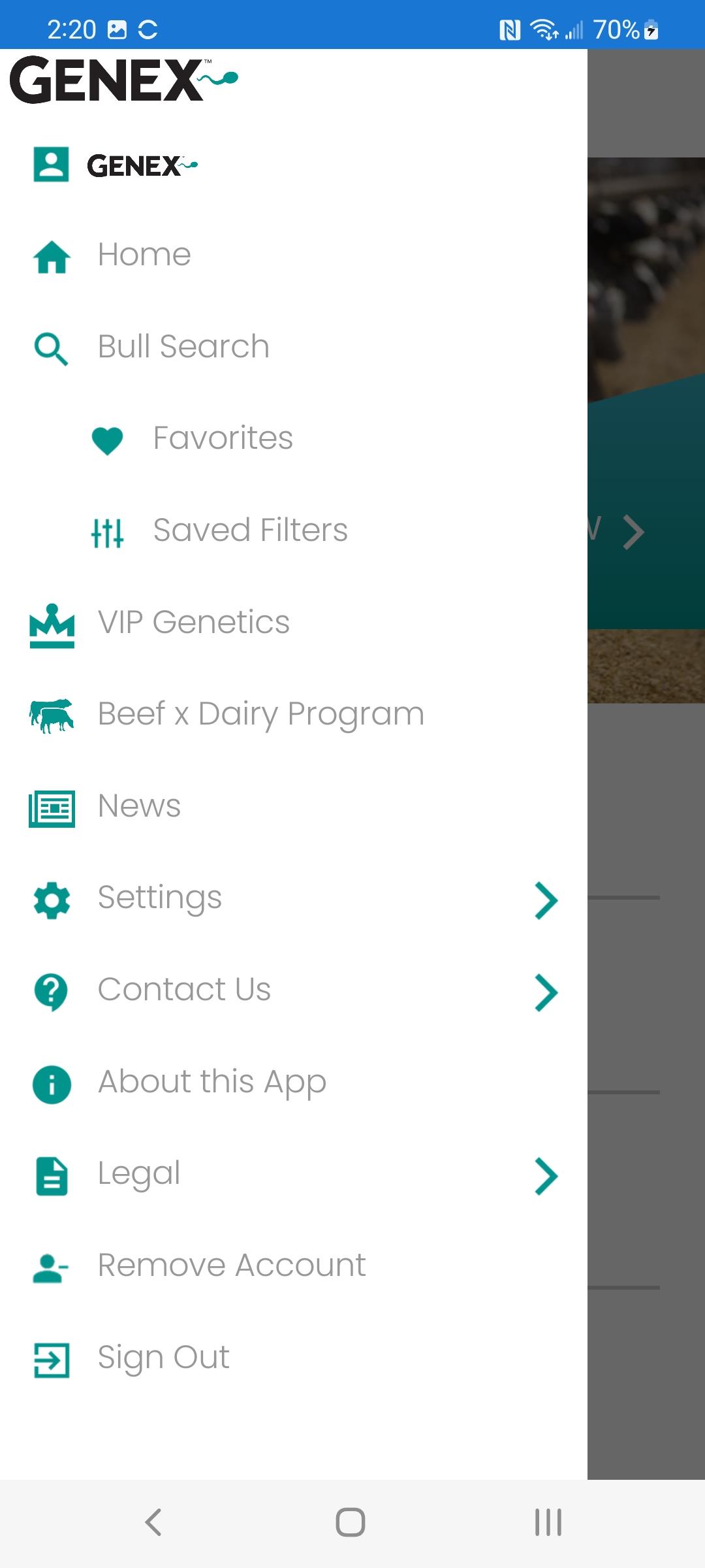 Bull Search Captura de pantalla 2