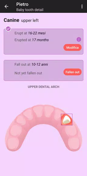 The Tooth Mouse應用截圖第4張