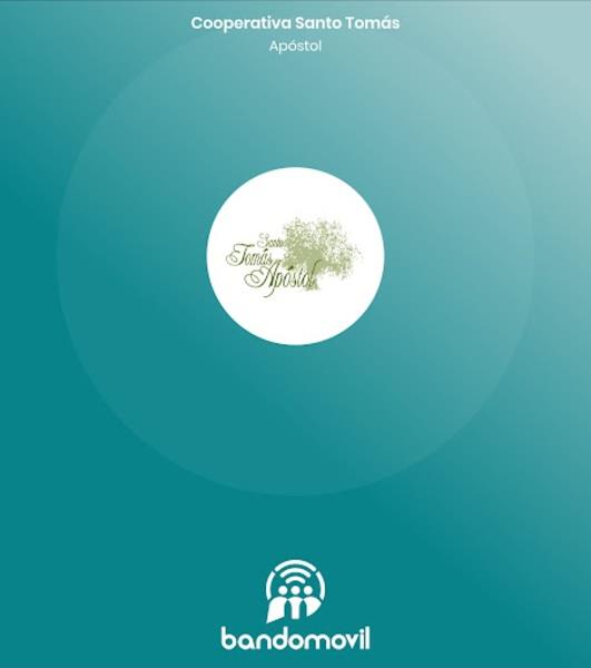 Cooperativa Santo Tomás Apóstol Captura de pantalla 1