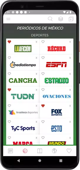 Mexican Newspapers Screenshot 2