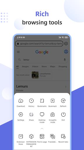 Lemur Browser - extensions Capture d’écran 4