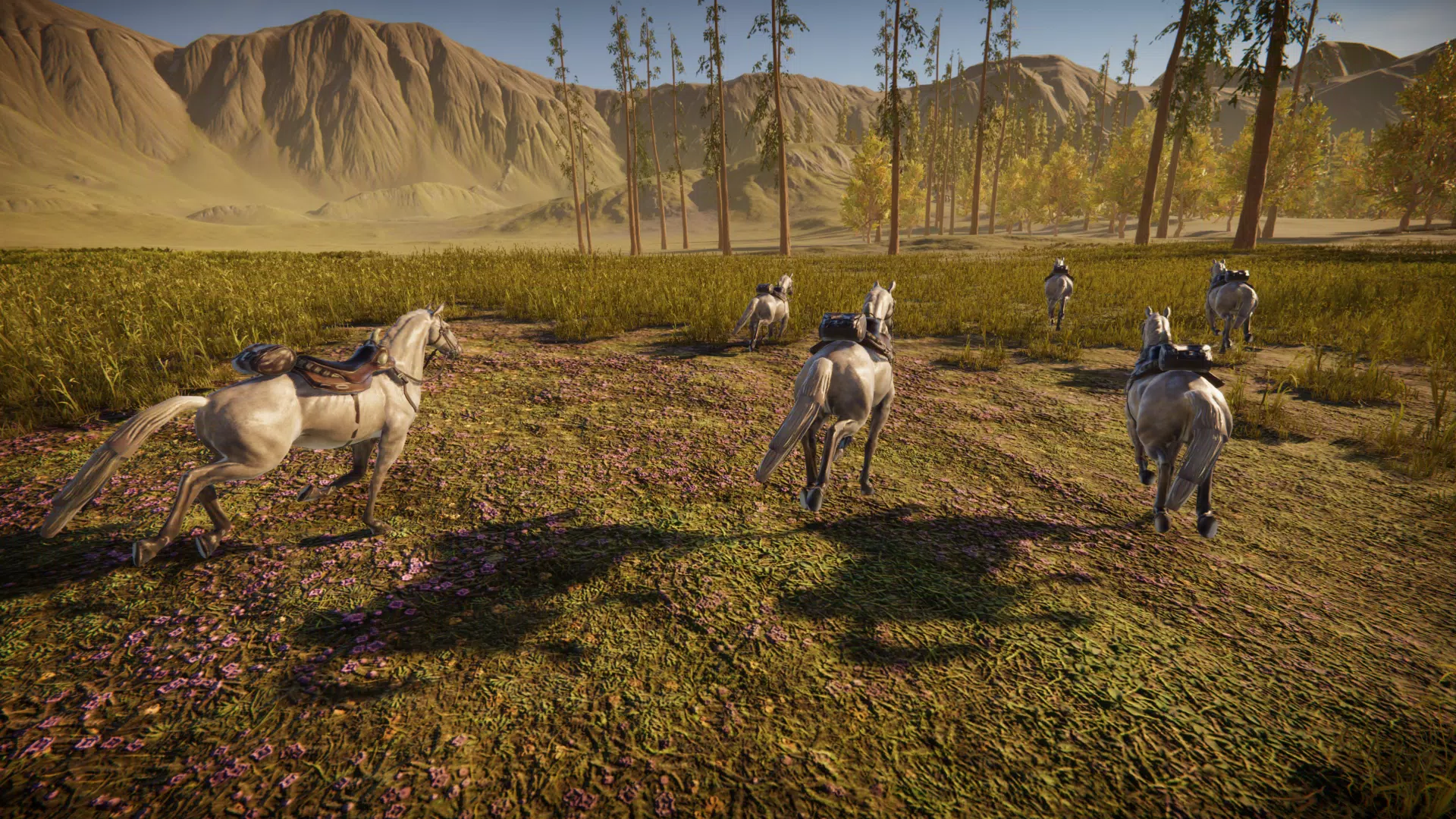 Spirit Horse: Woodland Trails Screenshot 3
