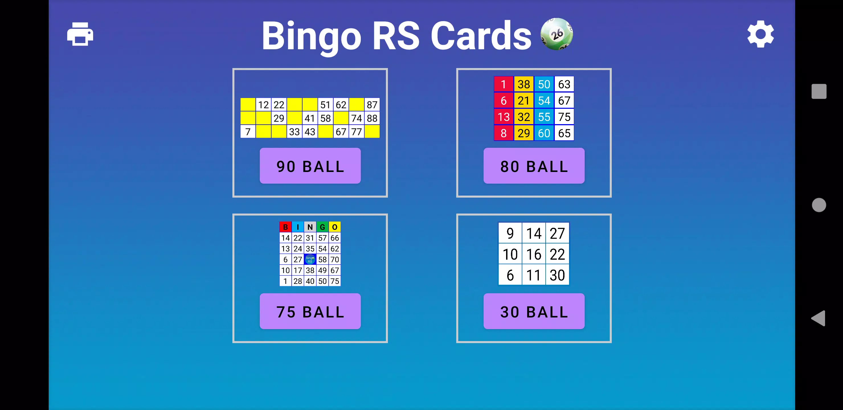 Bingo RS Cards应用截图第1张