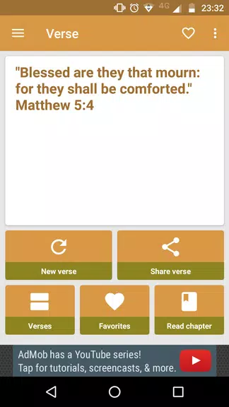 Verse of the Day 스크린샷 1