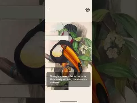 The Art of Fauna 게임 플레이 스크린샷