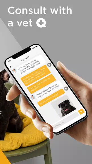 Petcube Captura de tela 4
