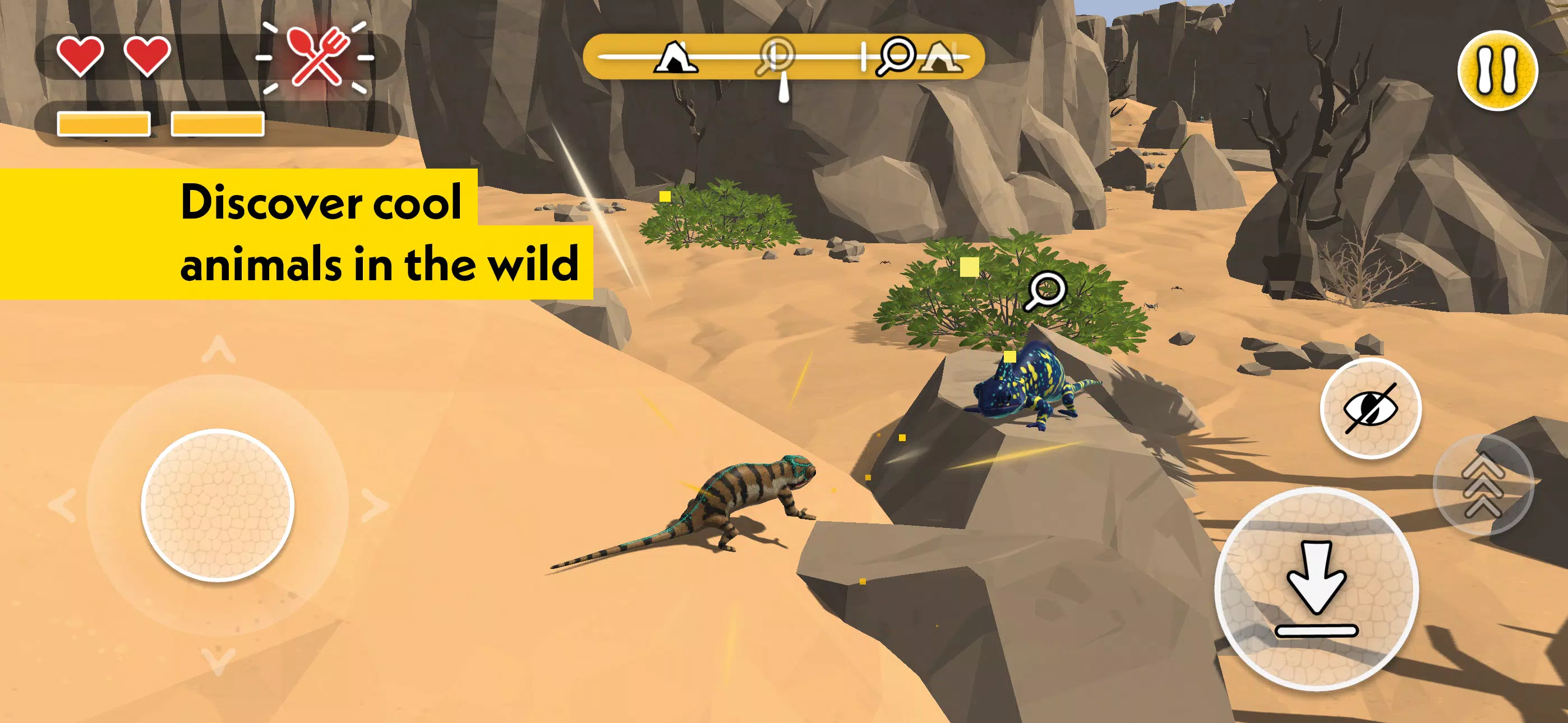 Schermata PLANET WOW Wildlife Adventure 4
