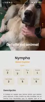 Schermata Amazdog 3