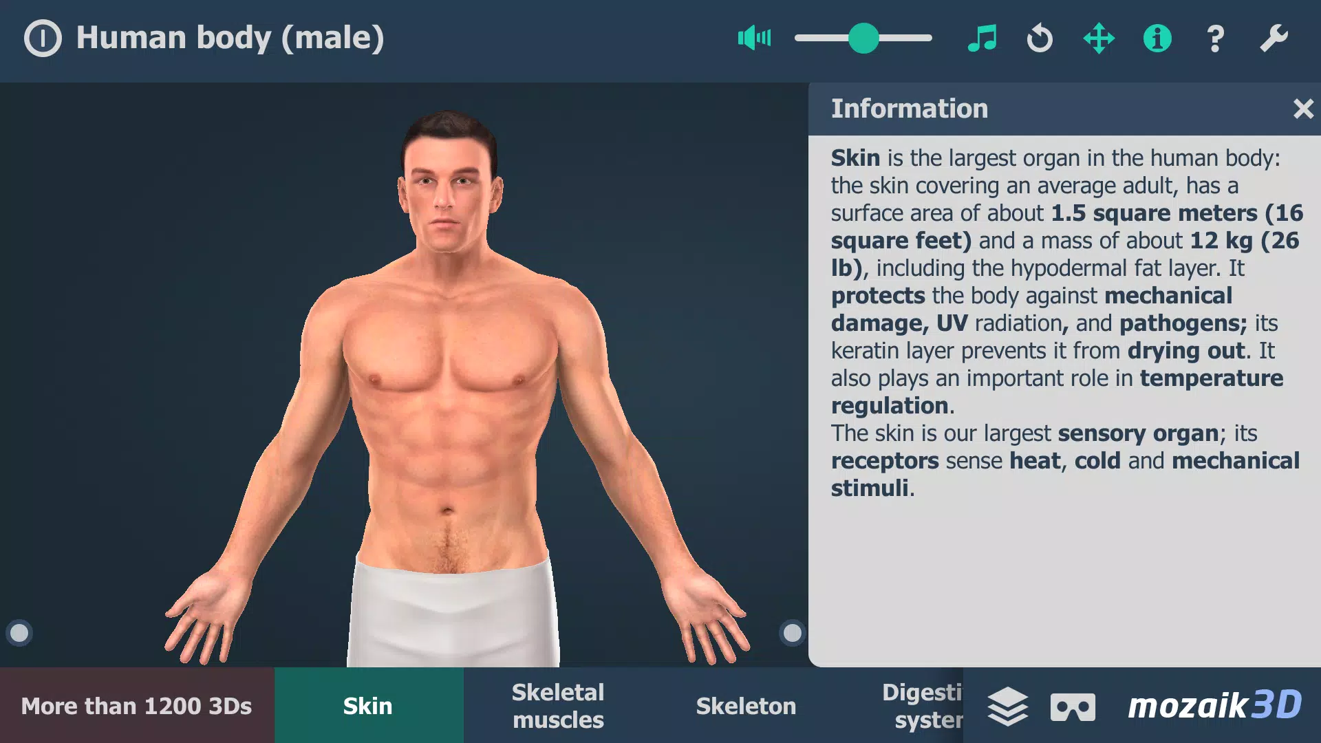 Corpo humano (masculino) 3D Captura de tela 1
