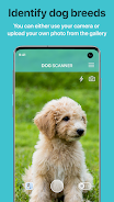Dog Scanner: Breed Recognition Schermafbeelding 1