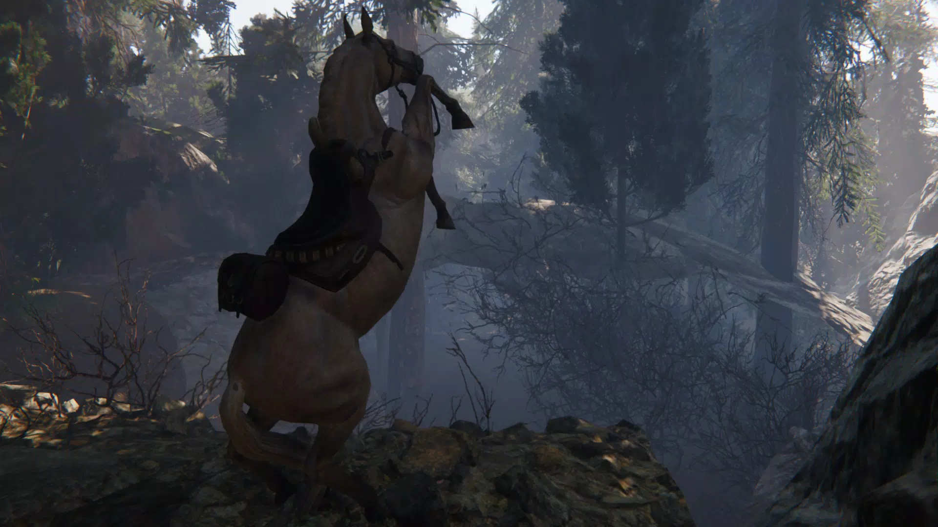Spirit Horse: Woodland Trails Screenshot 4