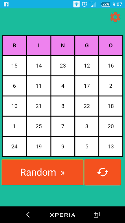 Bingo 2 player Screenshot 1