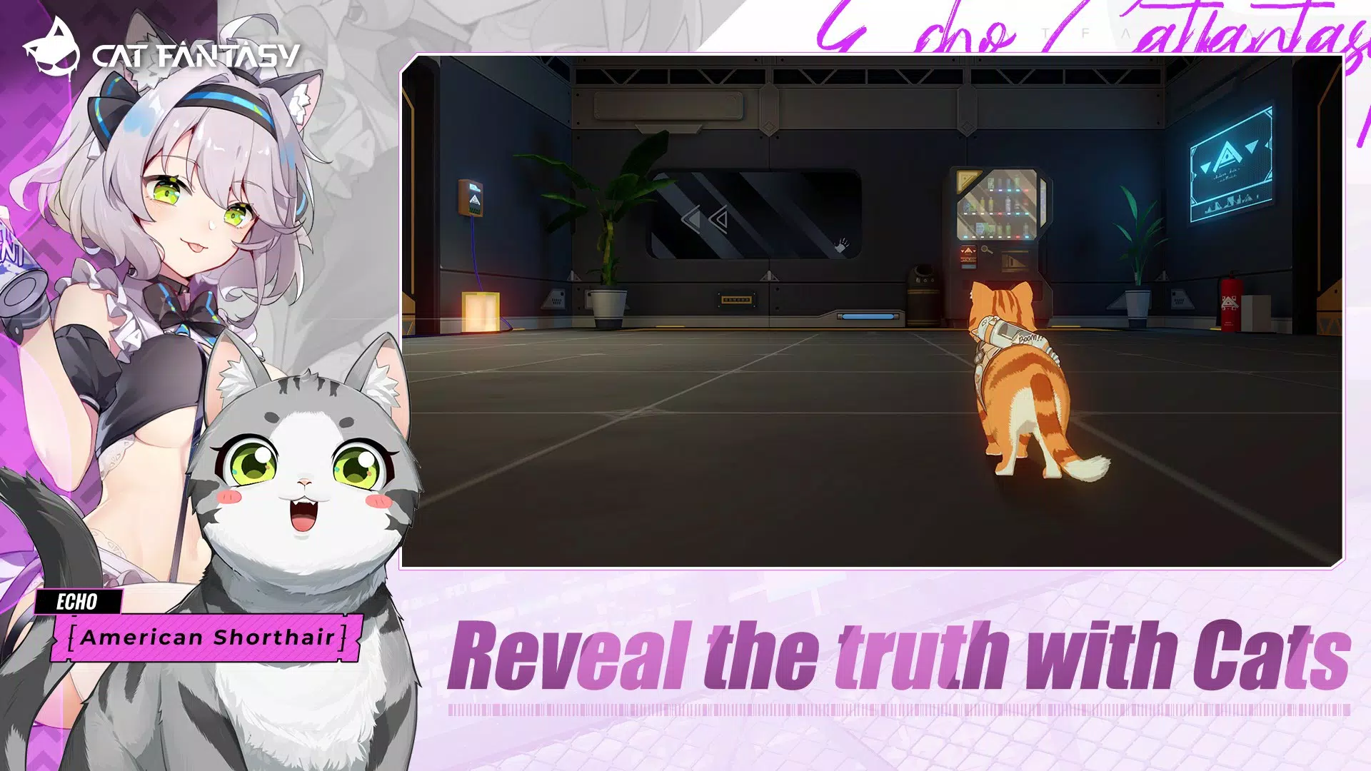 Cat Fantasy:PH應用截圖第4張