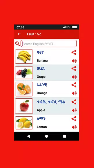Schermata Tigrinya Word Book 4