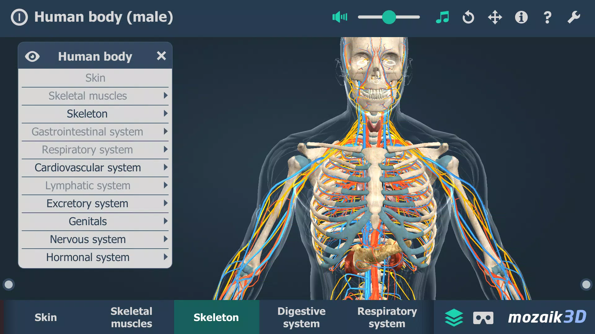 Corpo humano (masculino) 3D Captura de tela 4
