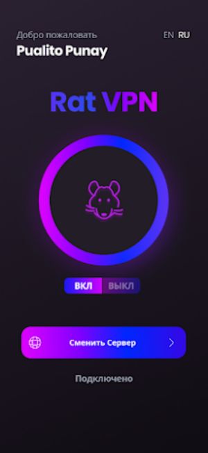 Rat VPN应用截图第3张