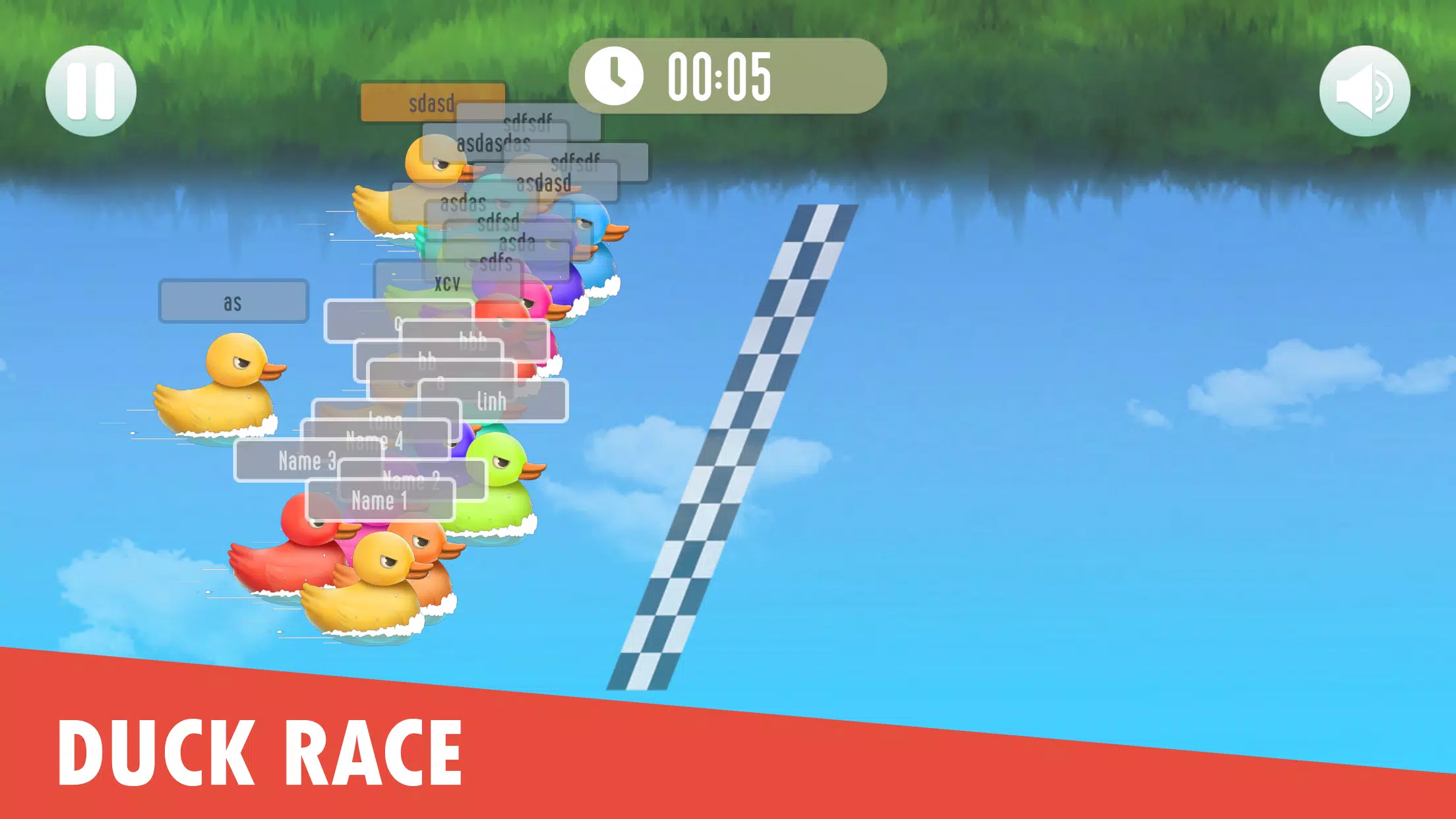 Duck Race: Name Picker Tangkapan skrin 1