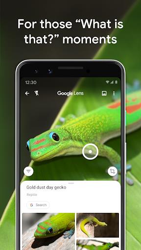 Google Lens Capture d’écran 1