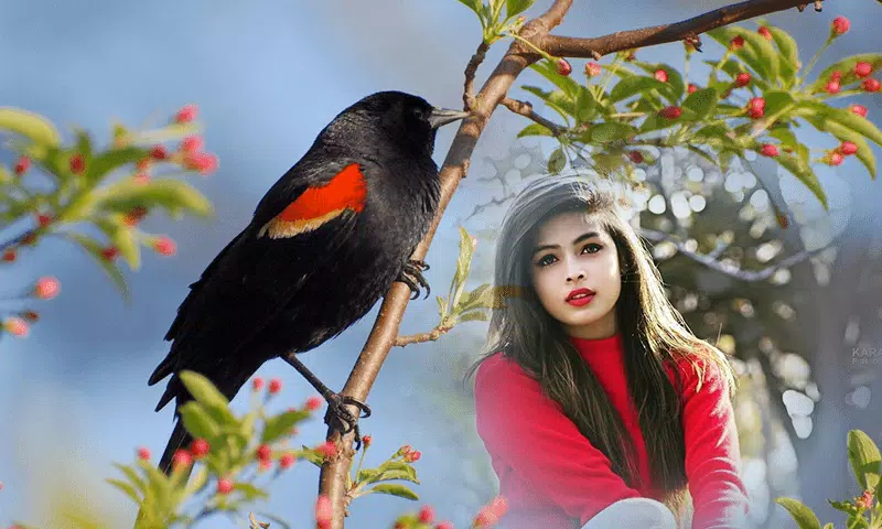 Birds Photo frame : Bird photo应用截图第4张