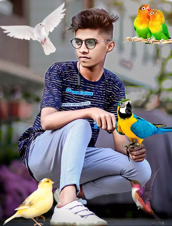 Birds Photo frame : Bird photo应用截图第3张