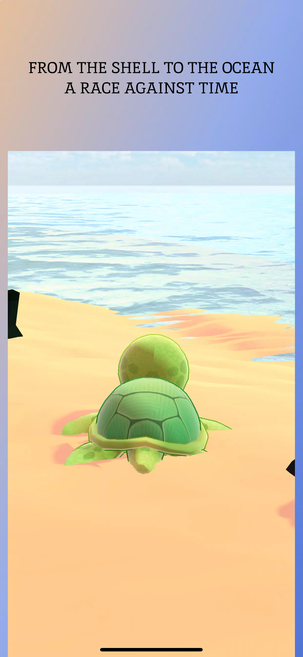 Turtle Beach Screenshot 2