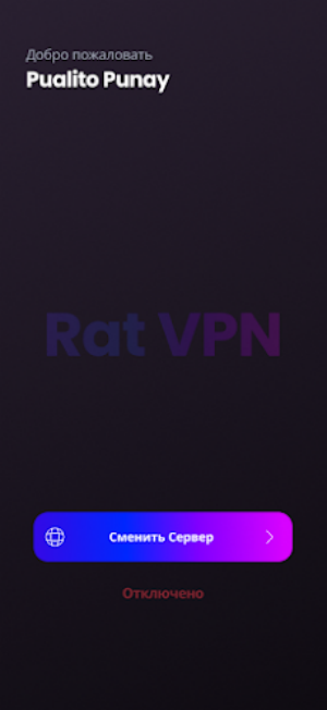 Rat VPN应用截图第1张