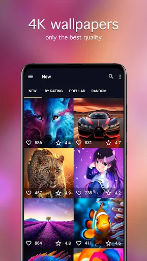 7Fon: Wallpapers & Backgrounds应用截图第4张