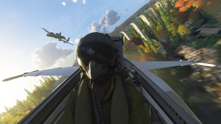 Global Gamers Grounded by Flight Simulator Queue