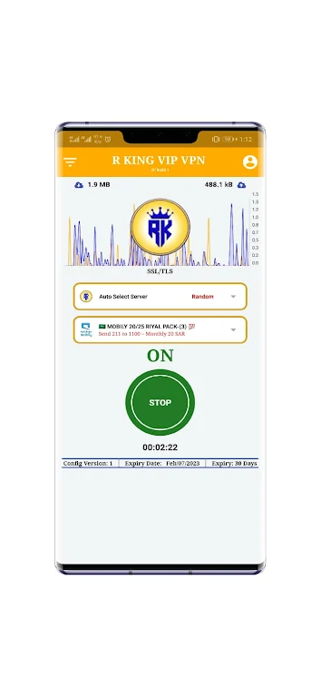 R King vip vpn ဖန်သားပြင်ဓာတ်ပုံ 2
