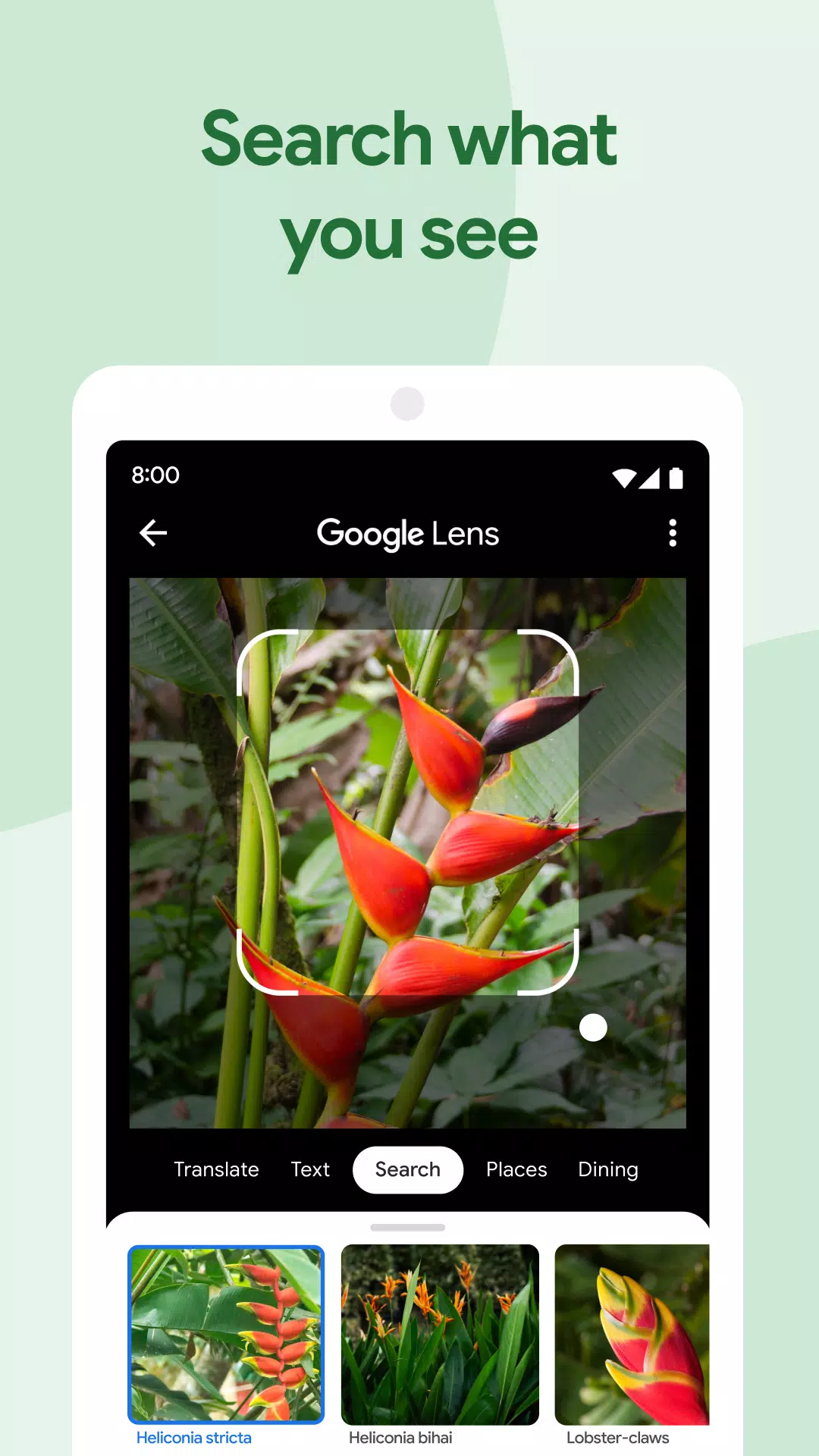 Google Photos Screenshot 3
