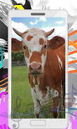 Cow Sounds Zrzut ekranu 3
