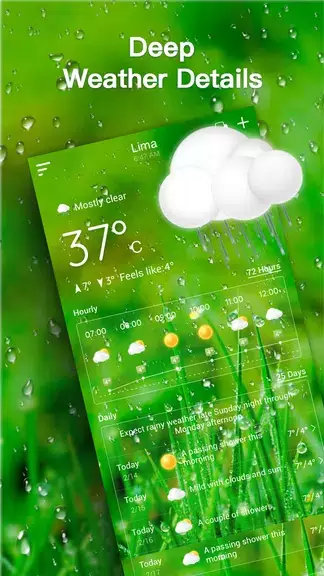 Live Weather Forecast應用截圖第3張