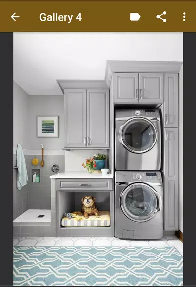 Laundry Room Organization ဖန်သားပြင်ဓာတ်ပုံ 3