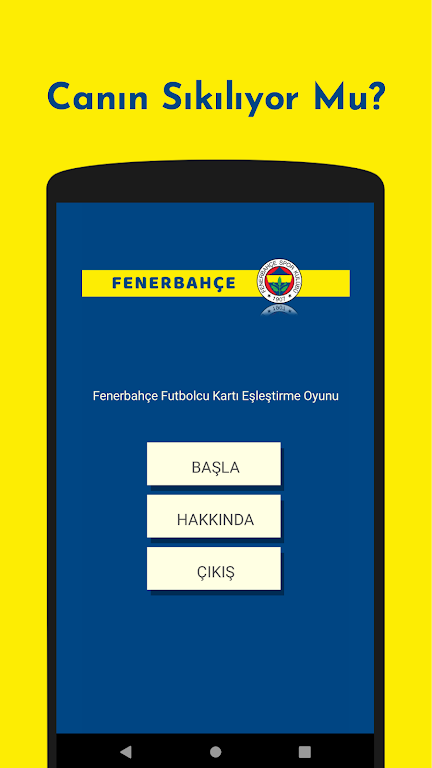 Fenerbahçe Futbolcu Kart Eşleştirme Oyunu ภาพหน้าจอ 1