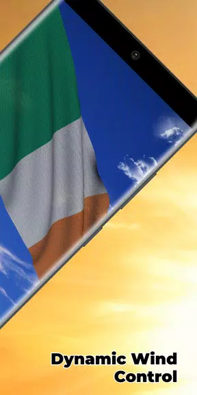 Ireland Flag Live Wallpaper应用截图第2张