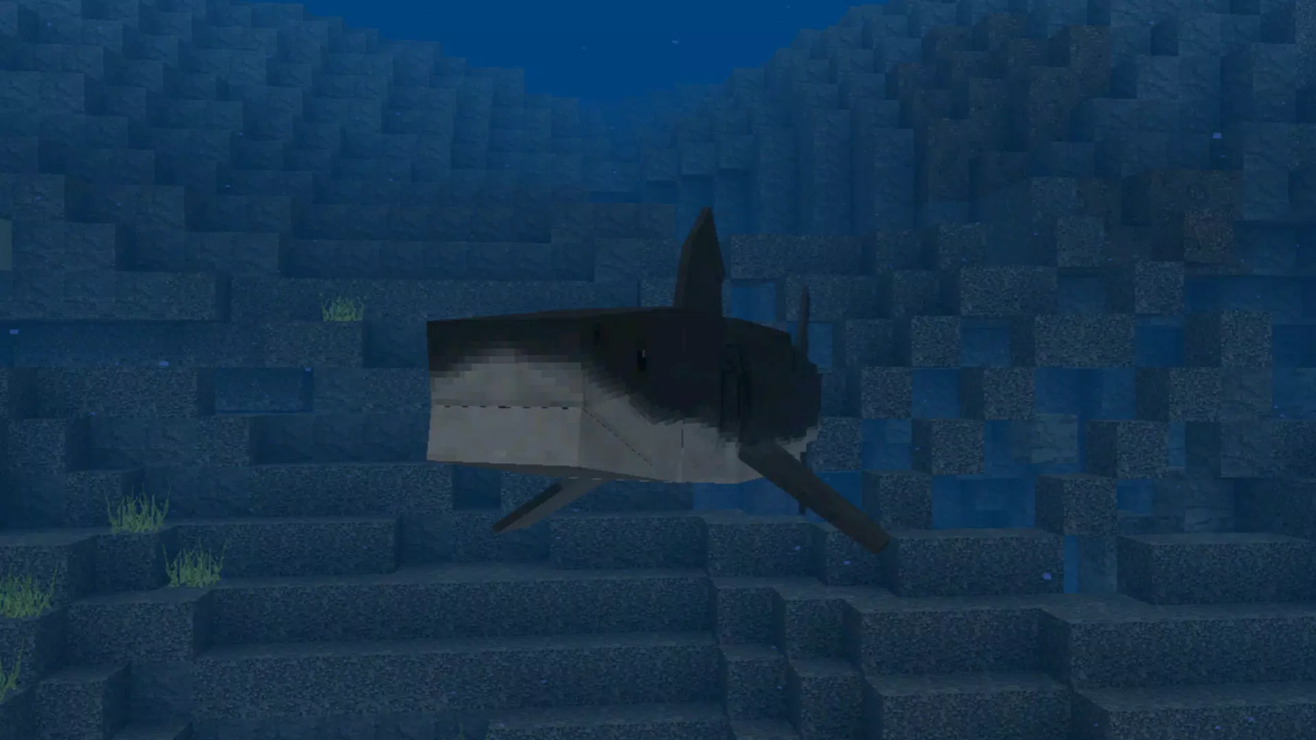 CraftyMaster: Realistic Screenshot 3