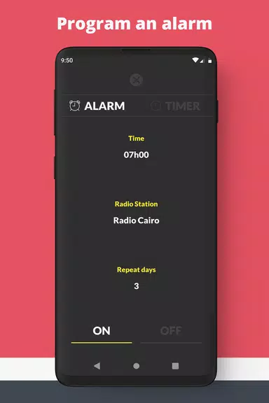 Radio Egypt: Radio FM online Tangkapan skrin 4