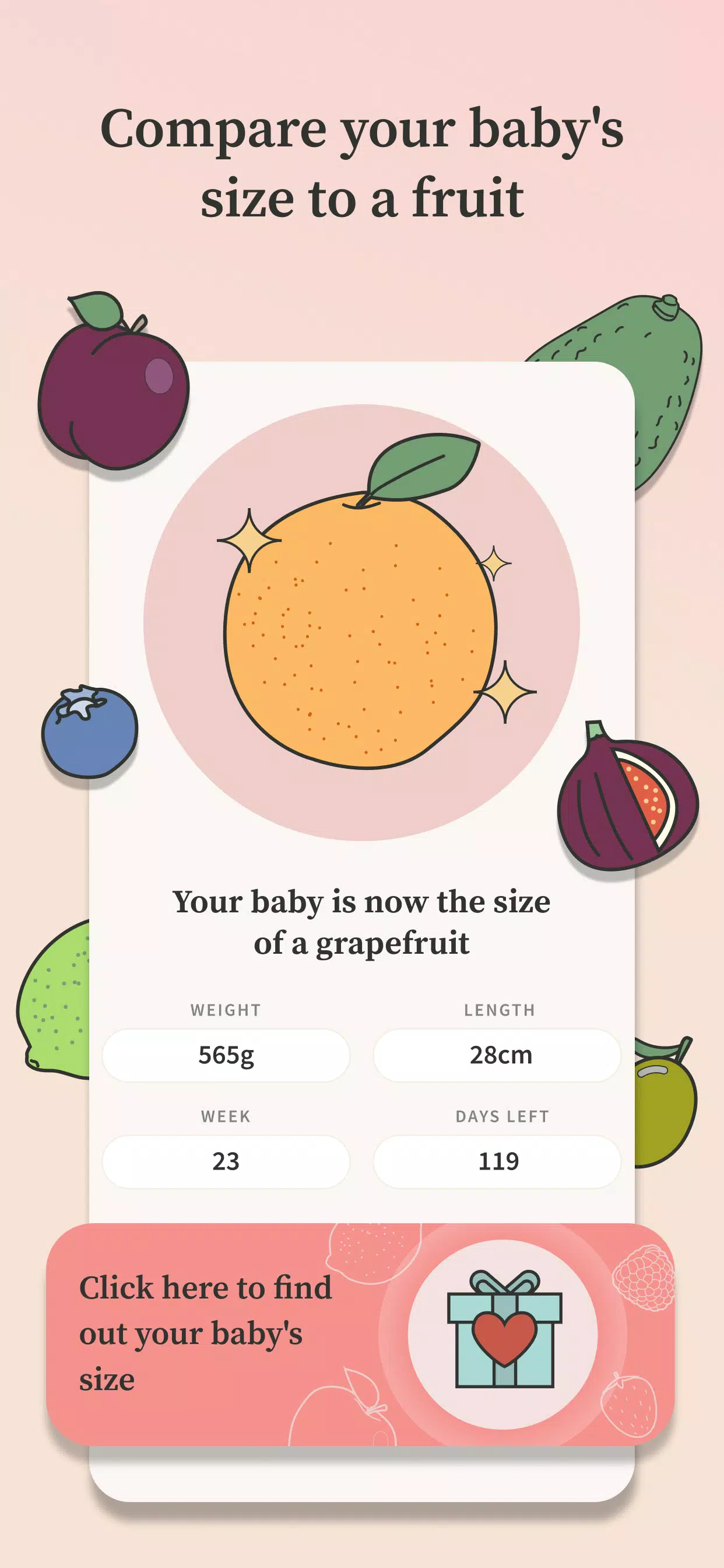 Preglife Screenshot 4