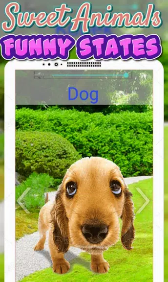 Animals Sounds For Kids ภาพหน้าจอ 4