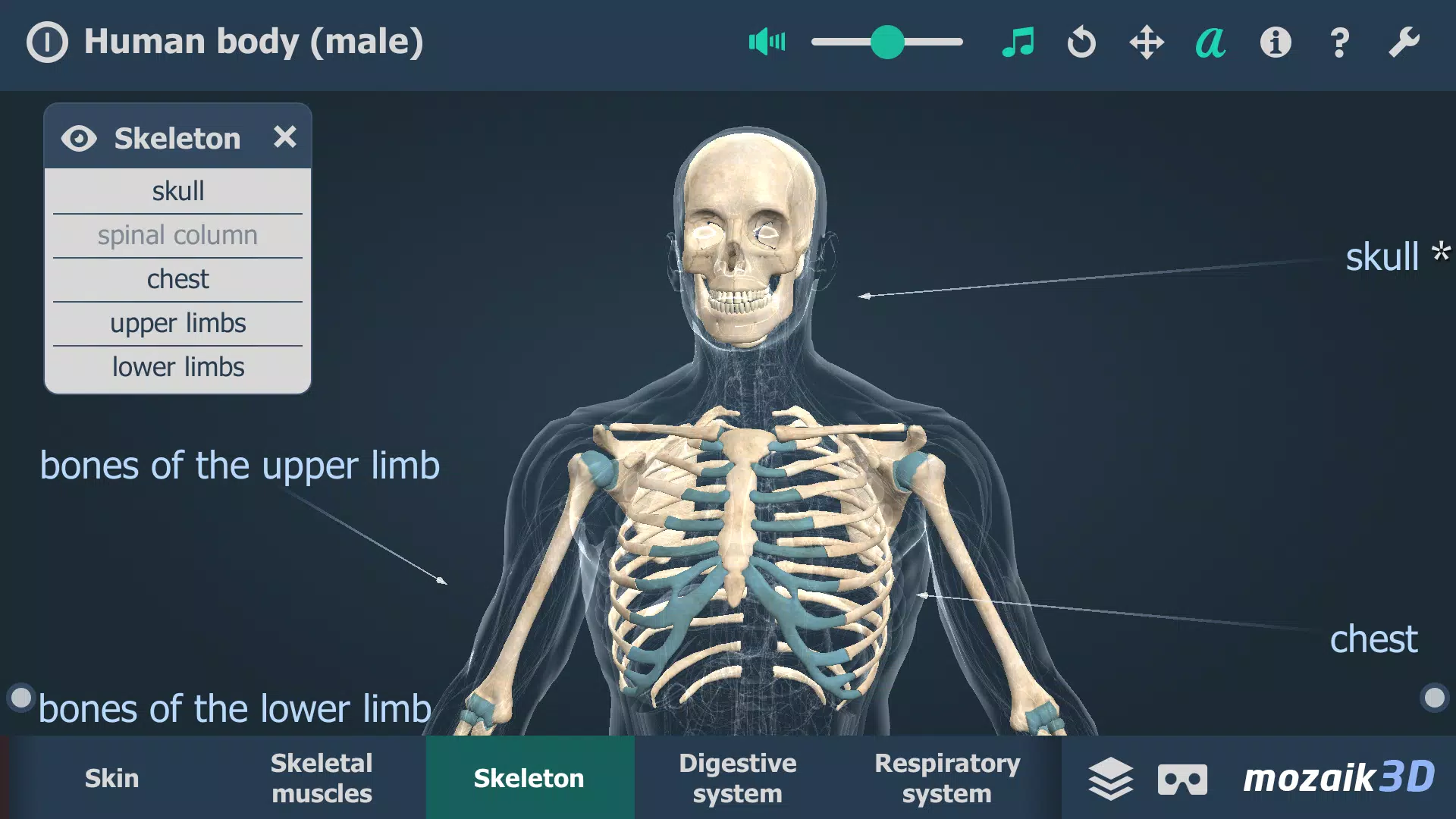 Corpo humano (masculino) 3D Captura de tela 3