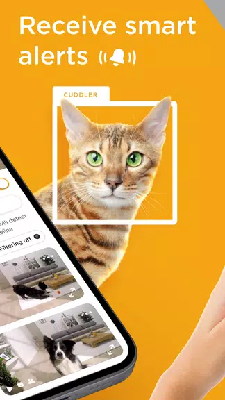 Petcube Captura de tela 2