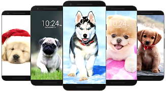 Dog Wallpaper HD Скриншот 2