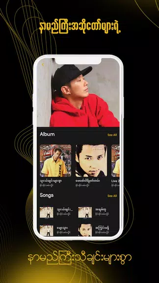 ရွှေနားဆင် Myanmar Audio Books Скриншот 4