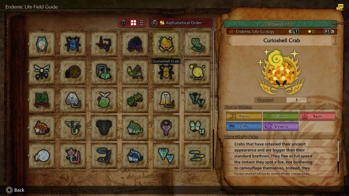 Monster Hunter Rise: Winning the High Trophy