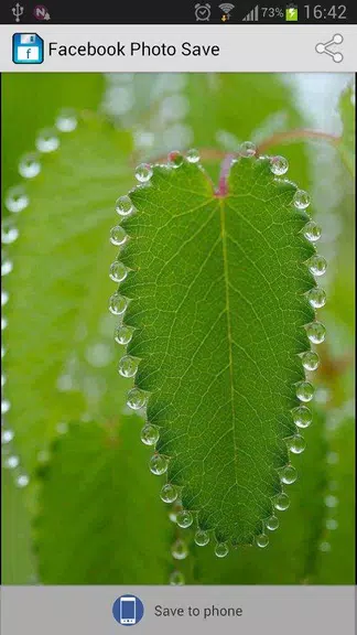 Photo Saver for Facebook Screenshot 3