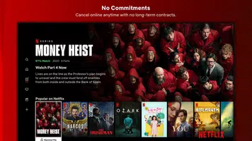 Netflix Captura de pantalla 3