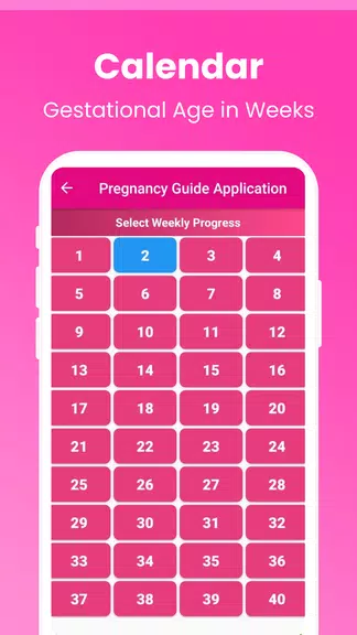 Pregnancy Guide - A Mom應用截圖第4張